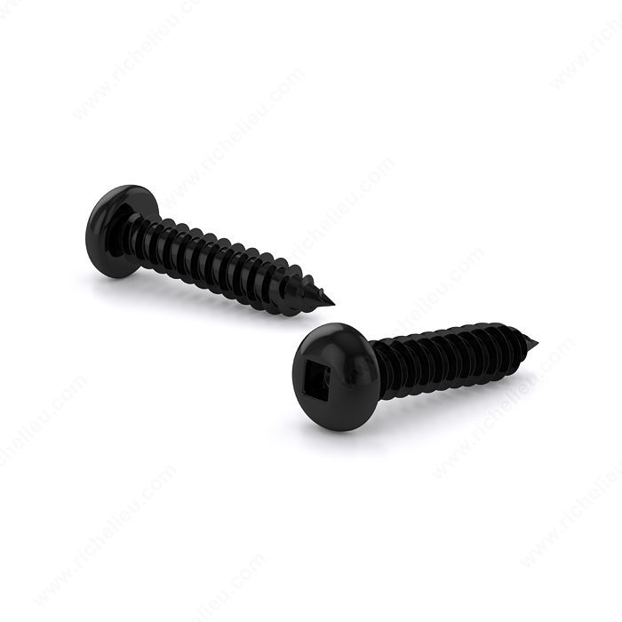 Illustrative example of black furniture screws from Google Search