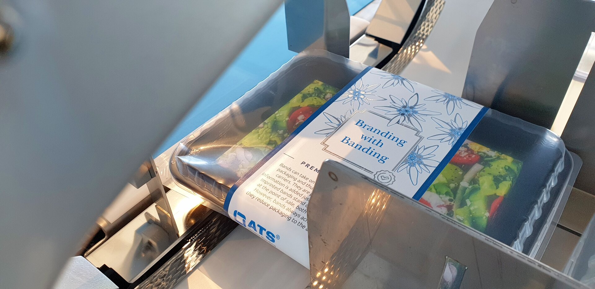 Illustrative example of s banding from Google Search