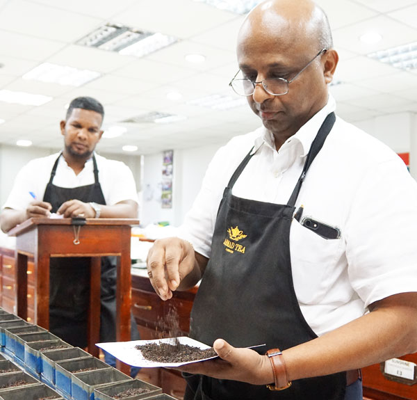 ahmad tea sourcing countries india sri lanka kenya china