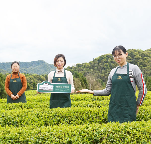 ahmad tea sourcing countries kenya sri lanka india china