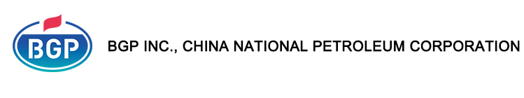 bgp china company full form