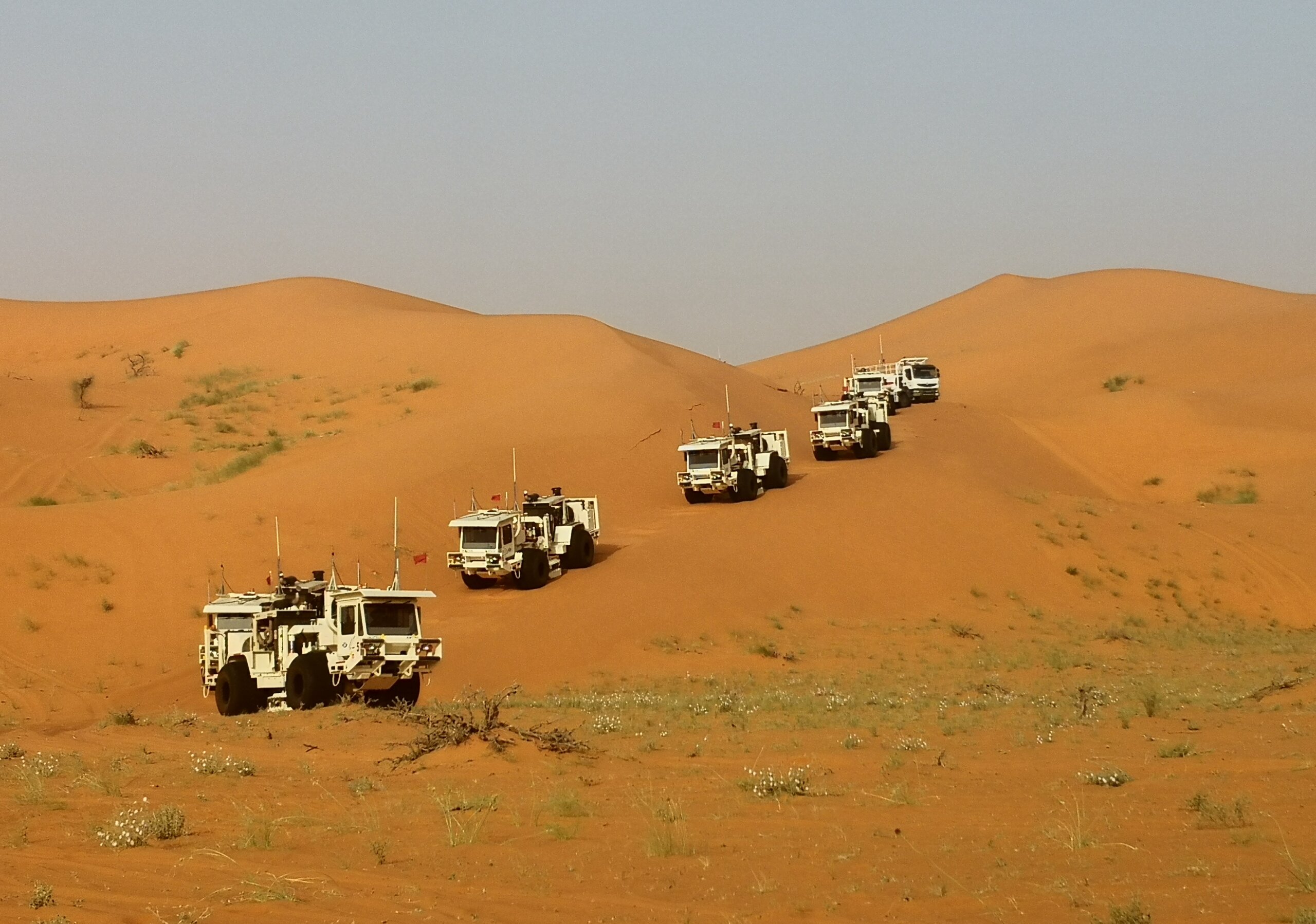 bgp china company full form