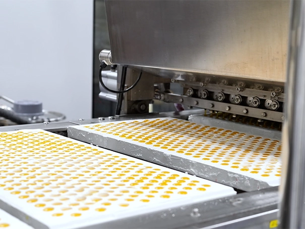 bulk supplements china