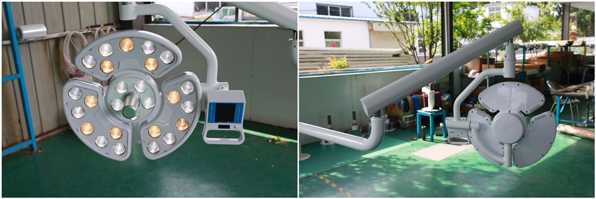 china 12 dental led light wholesale