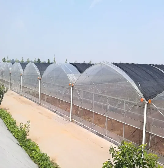 china 4 seasons greenhouse company