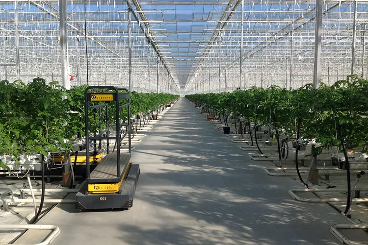 china 4 seasons greenhouse company