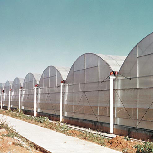 china 4 seasons greenhouse company