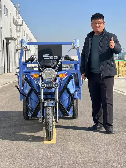 china 60v cargo and passenger tricycles wholesale