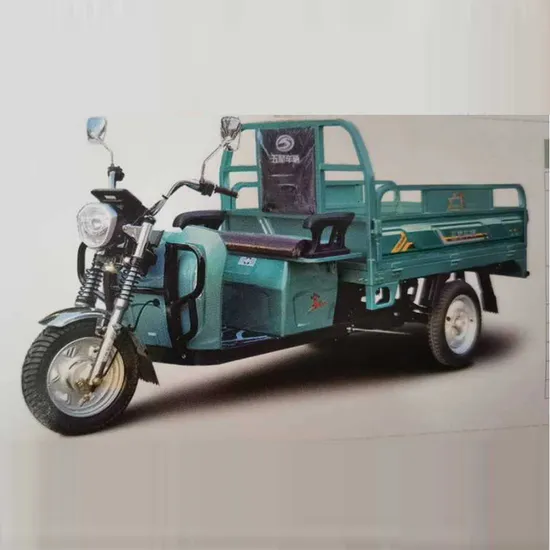 china 60v cargo and passenger tricycles wholesale