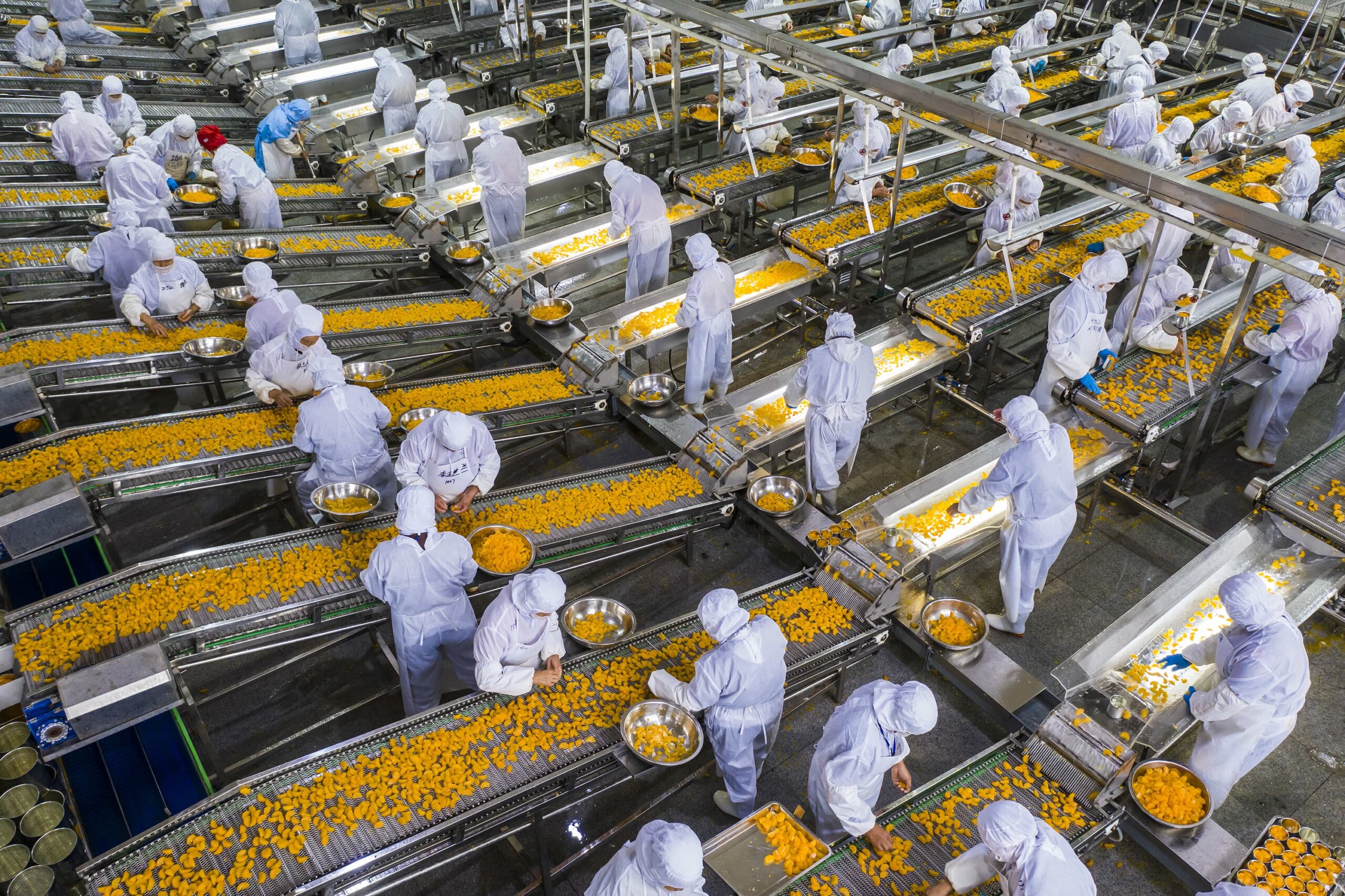 china agriculture company