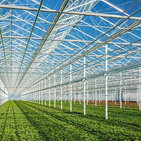 china arch greenhouse wholesaler