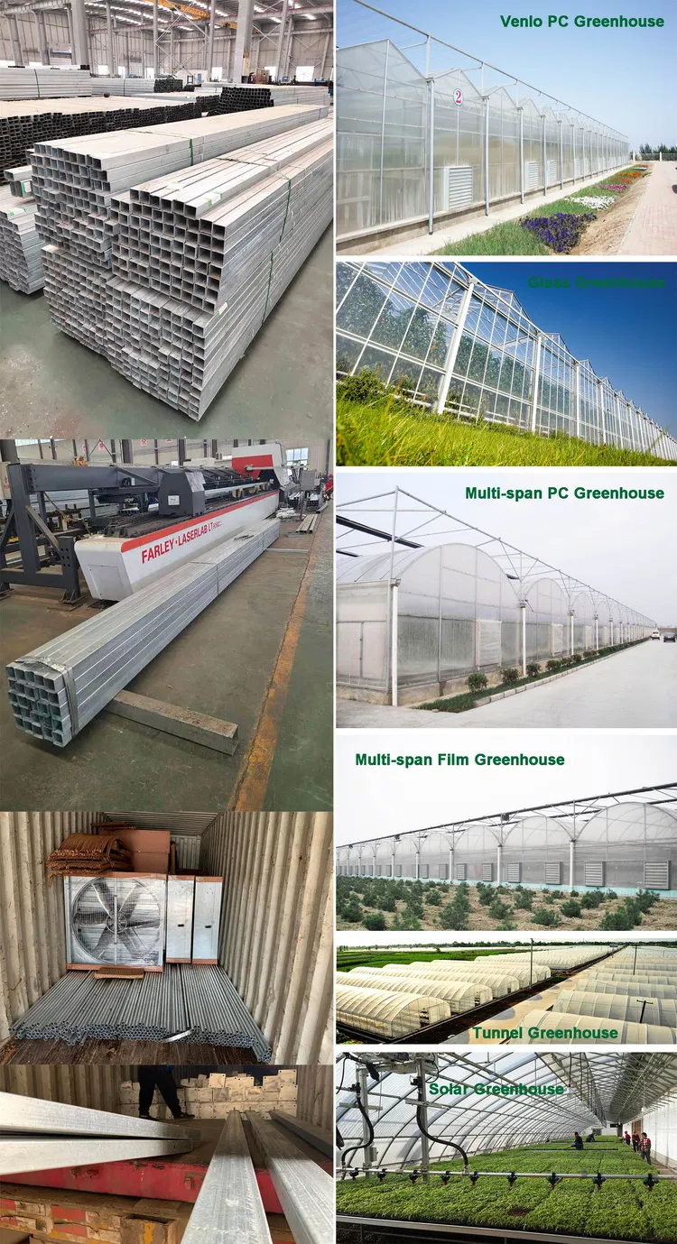 china arch type greenhouse wholesale
