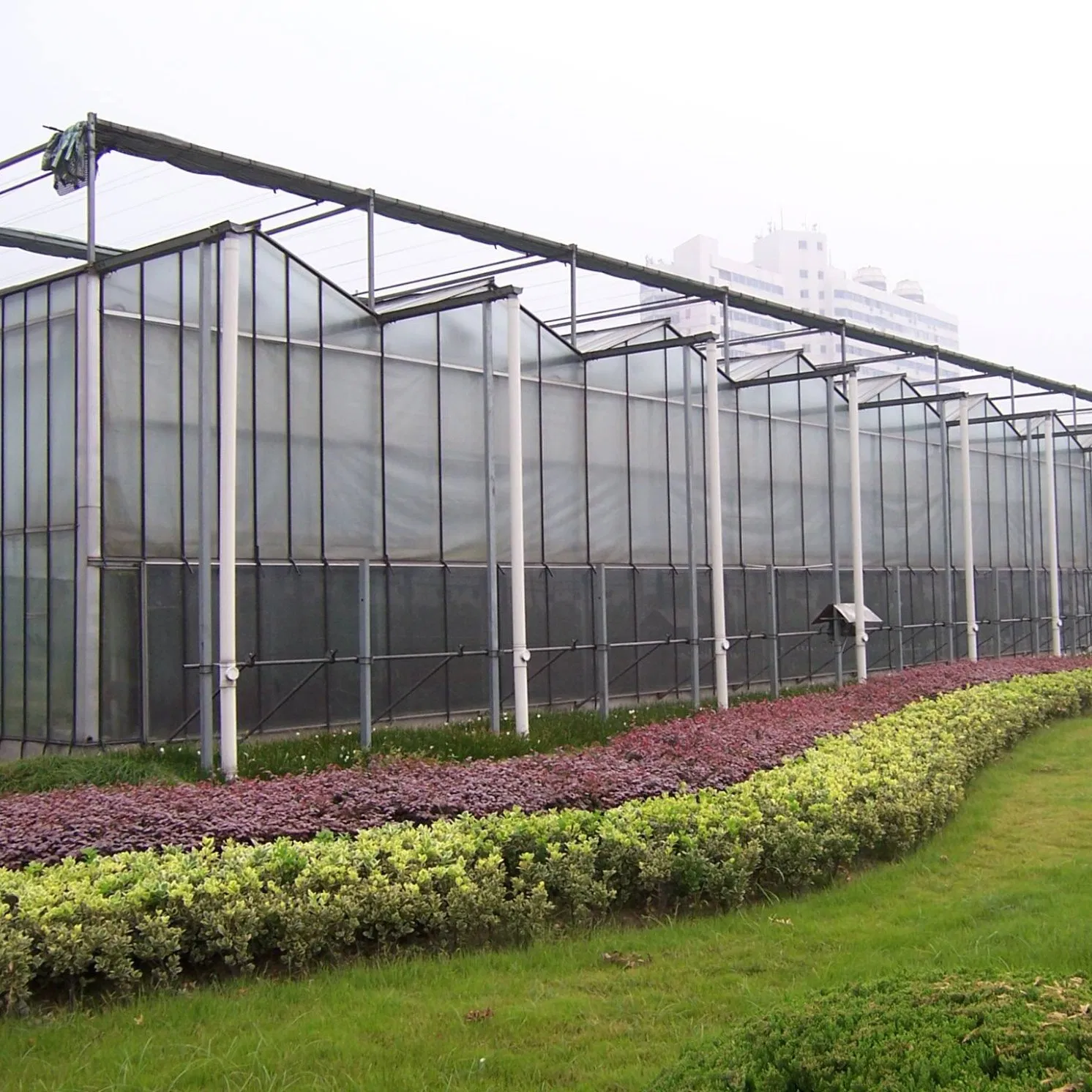 china arch type greenhouse wholesaler