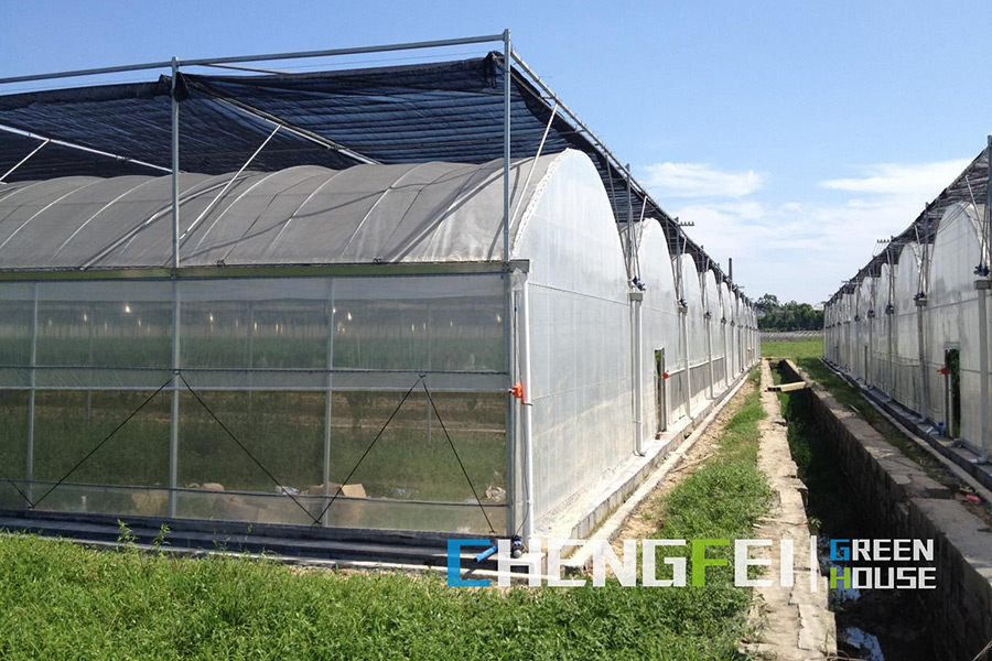china arch type greenhouse wholesaler