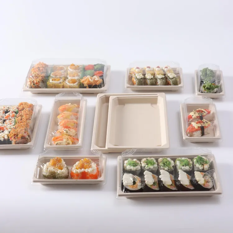 china bagasse pulp sushi box wholesale