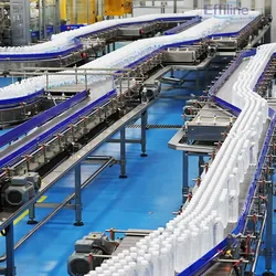 china belt conveyor company