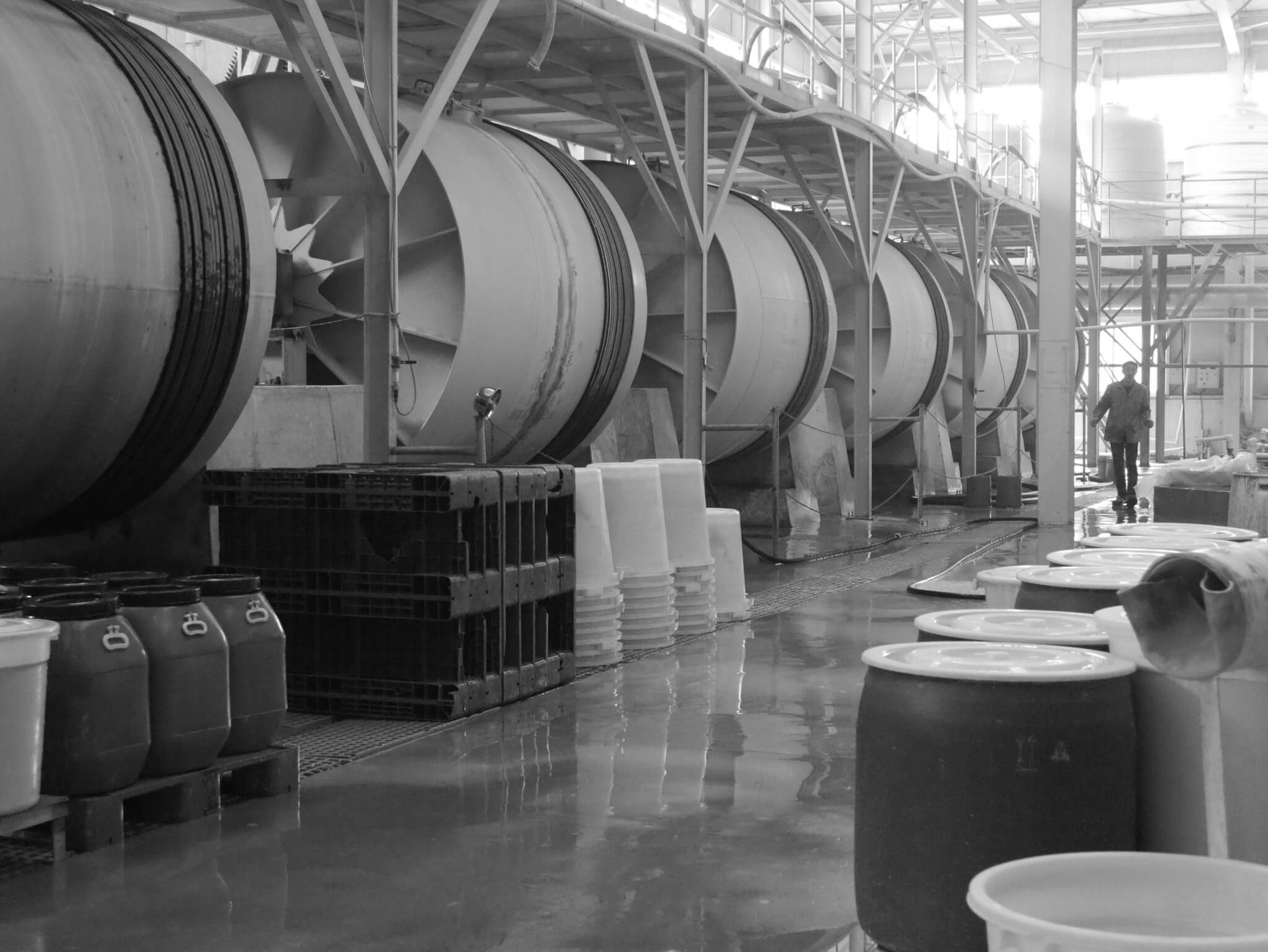 china bones halloween wholesale