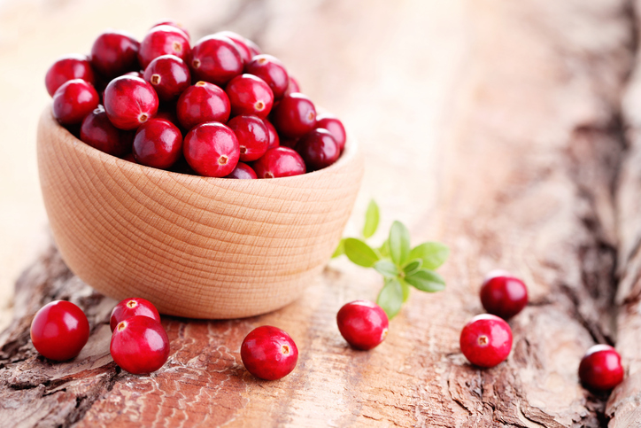 china bulk cranberry extract