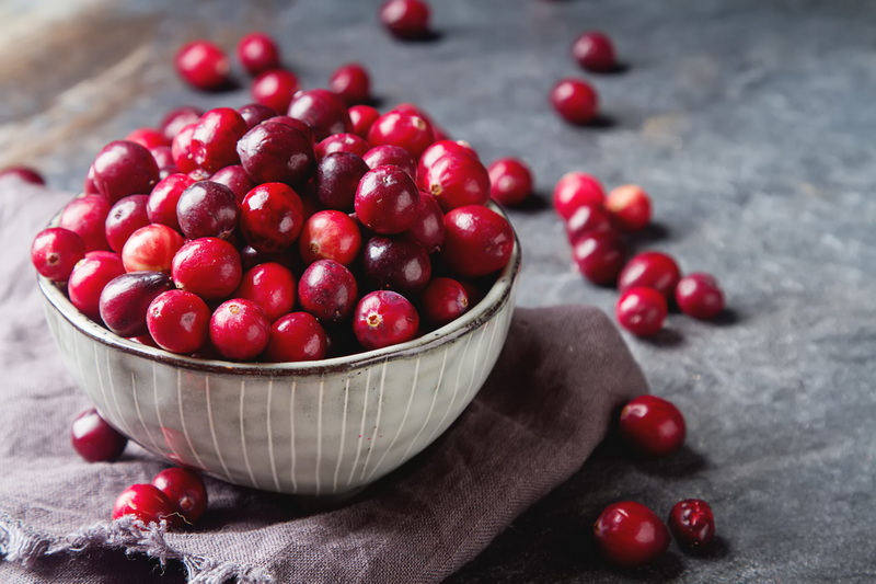 china bulk cranberry extract