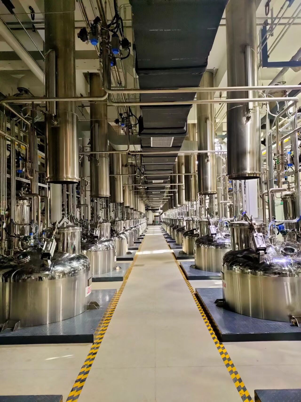 china bulk monk fruit extract