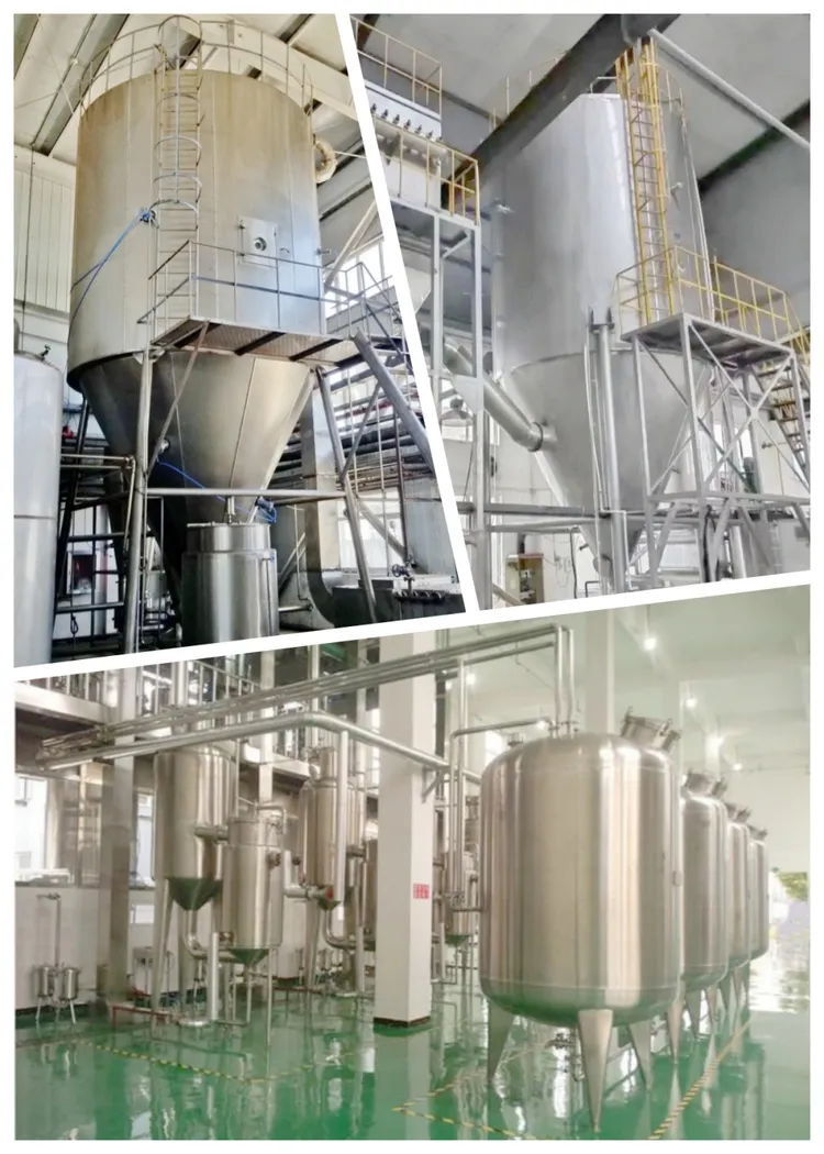 china bulk sweet tea extract