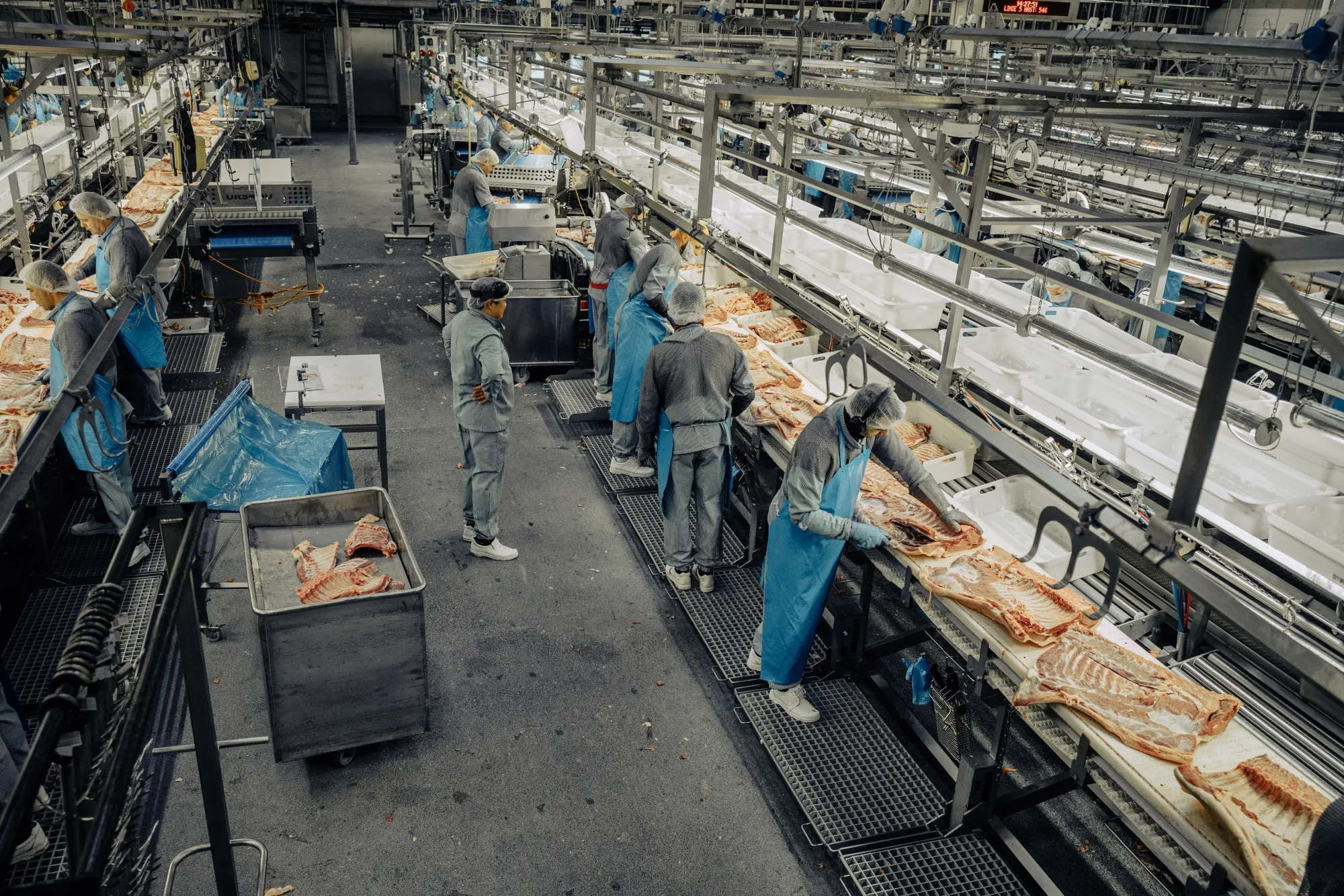 china buys pork company