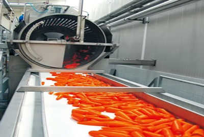 china cartoon carrot spoon wholesaler