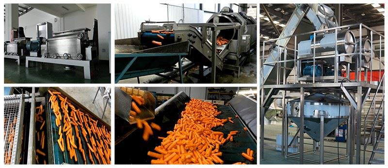 china cartoon carrot spoon wholesaler