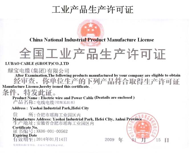 china company registration number