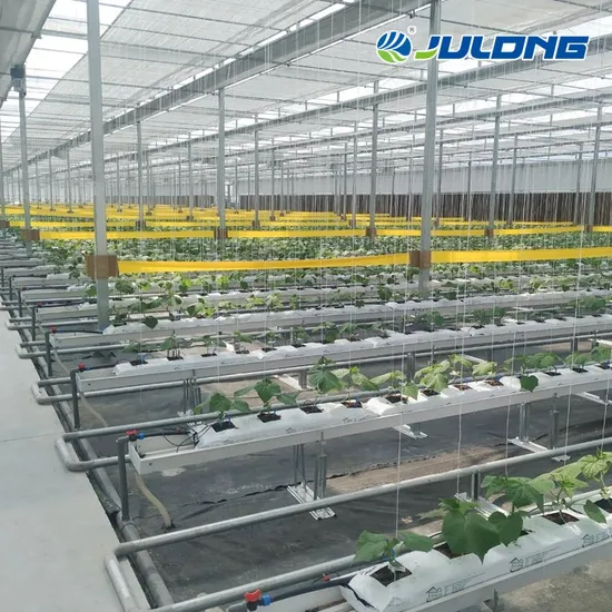 china cross vent greenhouse wholesalers