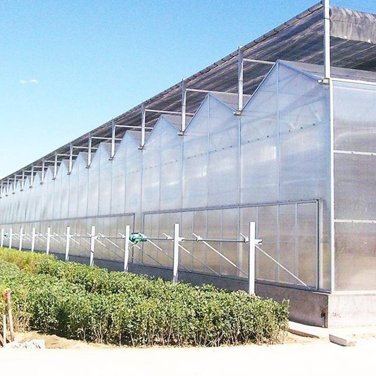 china cross vent greenhouse wholesalers