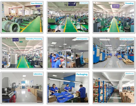 china customized screw wholesale