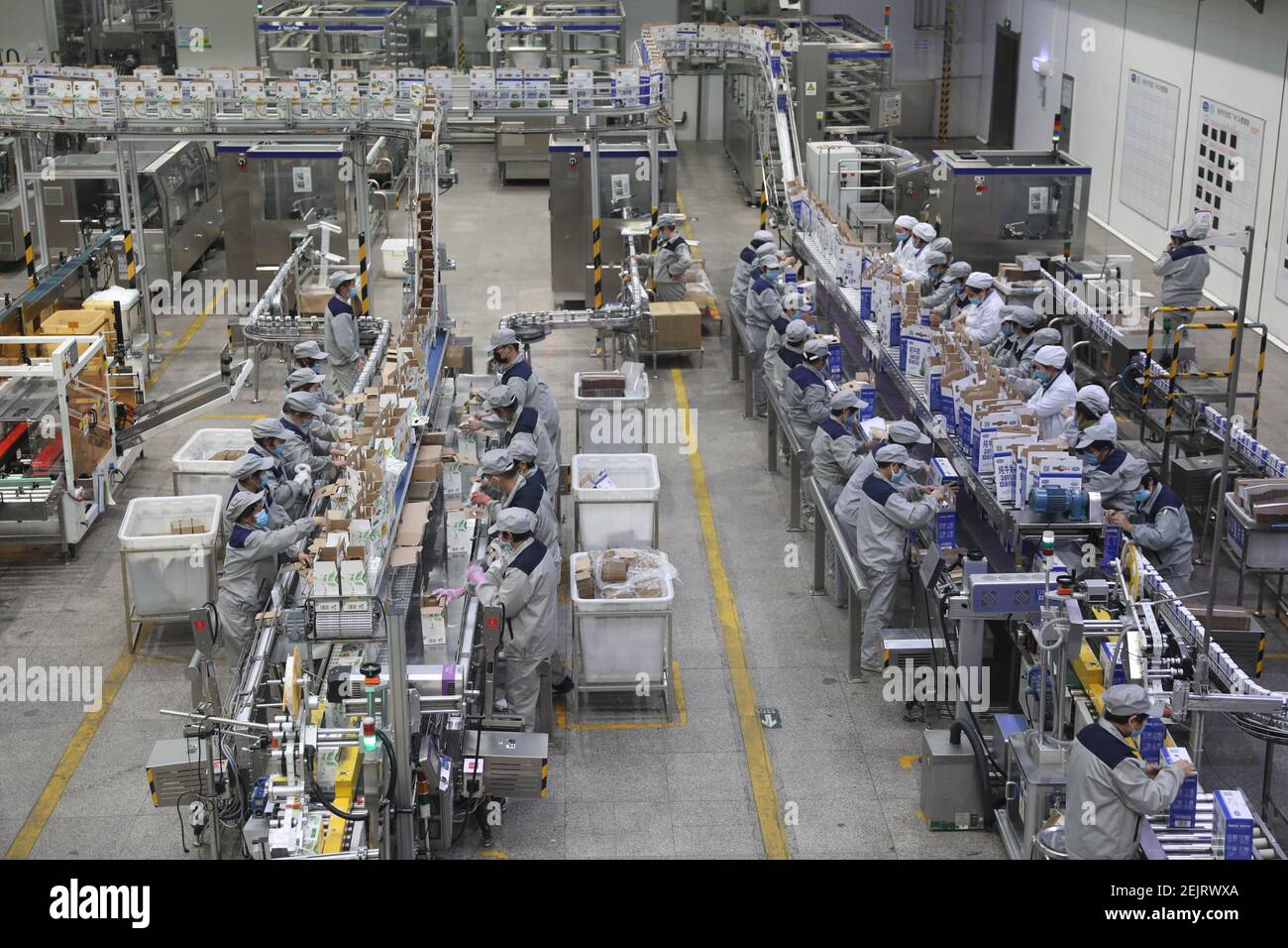 china dairy companies