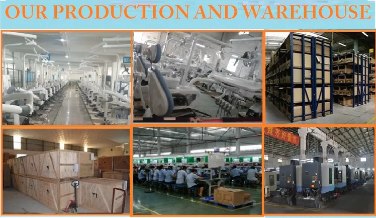 china dental doctor stool company China Factory