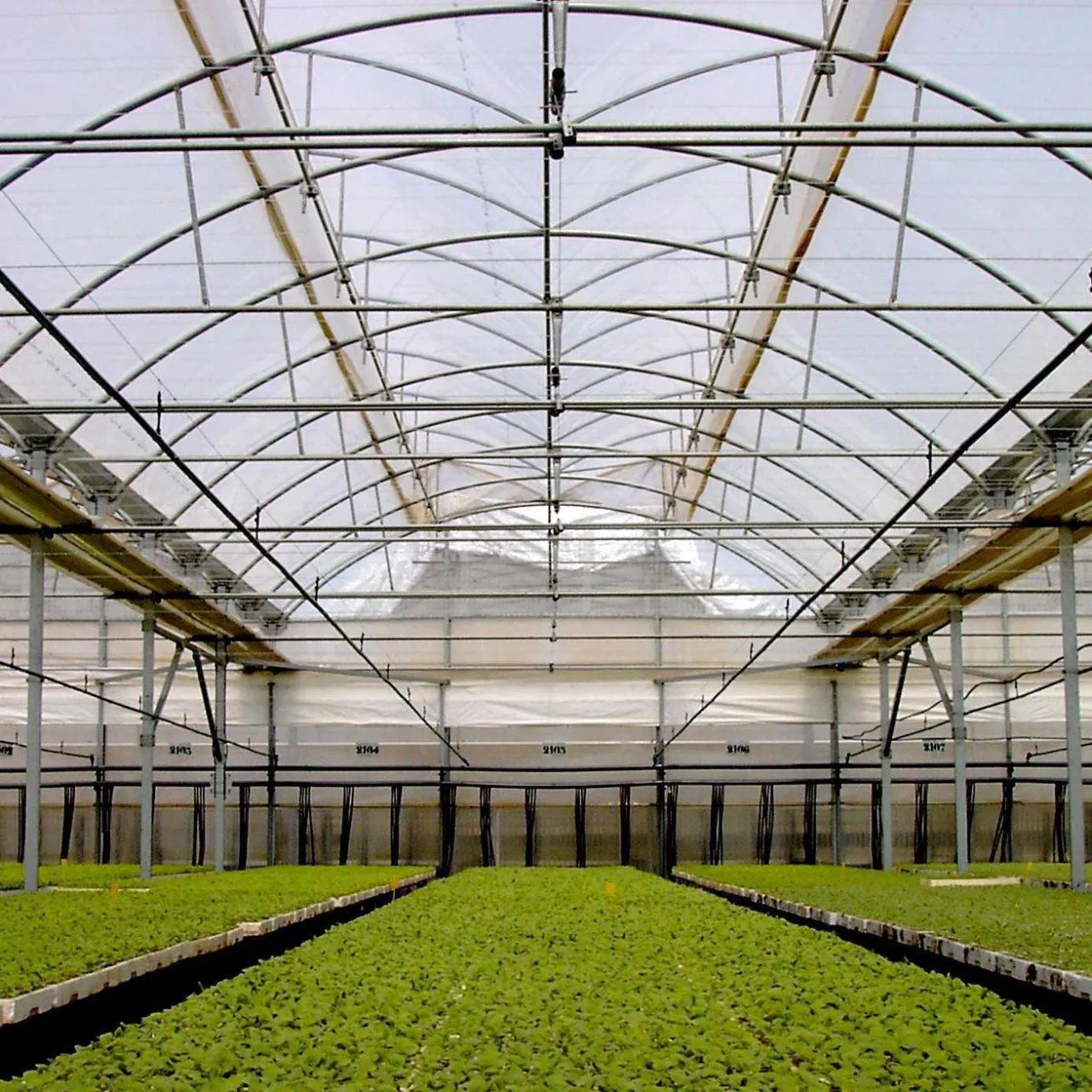 china diy polytunnel wholesaler