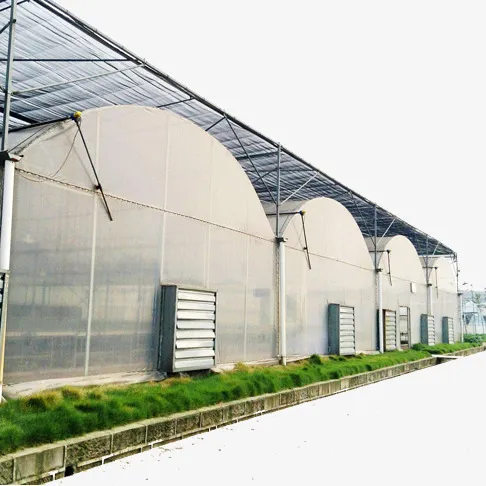 china diy polytunnel wholesaler