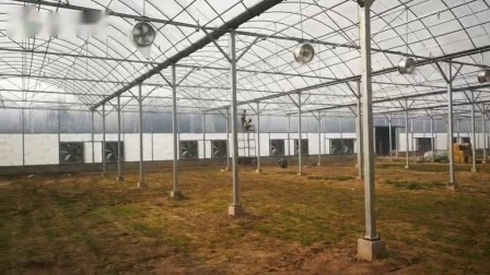 china diy polytunnel wholesaler