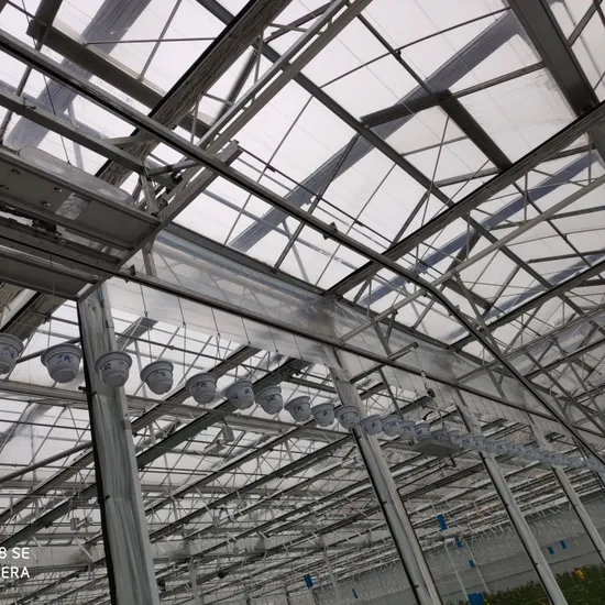 china dome greenhouse wholesale China Factory