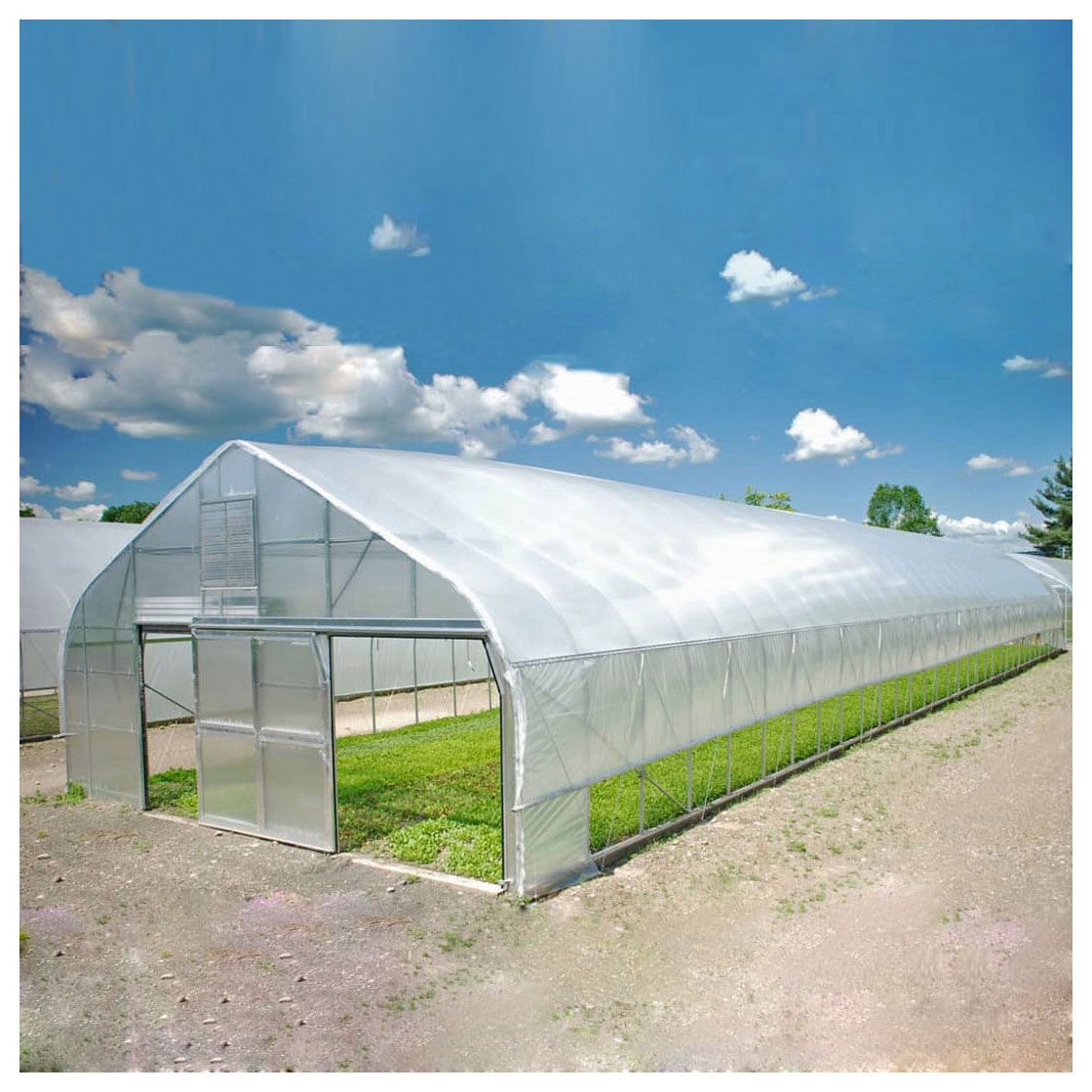 china dome greenhouse wholesale