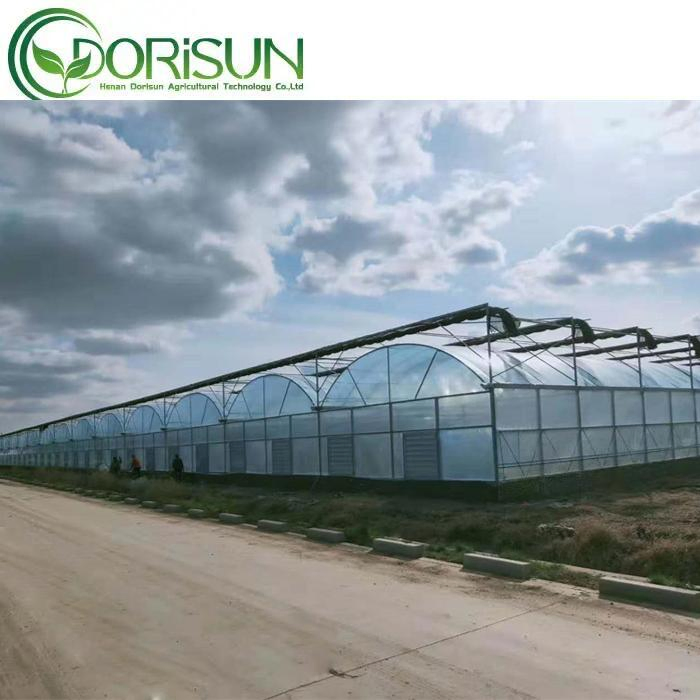 china dome greenhouse wholesale