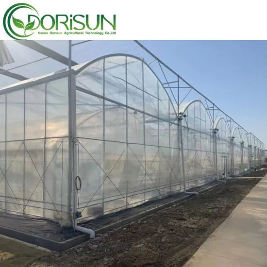 china dome greenhouse wholesale