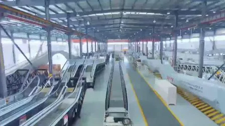 china escalator company China Factory