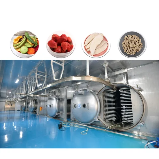 china freeze dried berries bulk China Factory