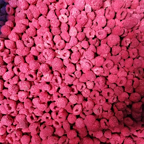 china freeze dried berries bulk