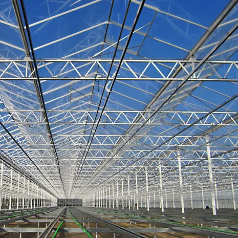 china greenhouse panel wholesaler