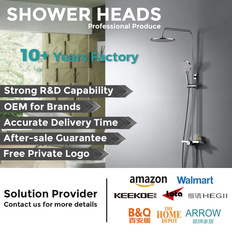 china handshower with big cover company
