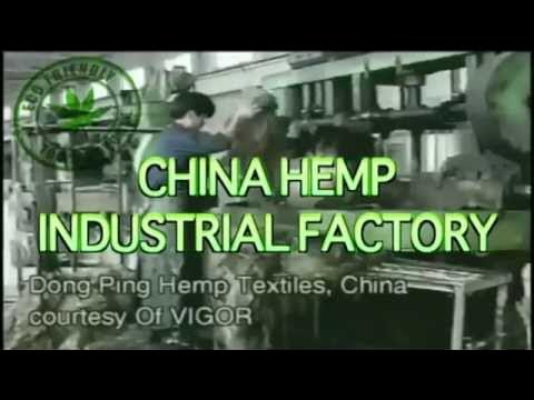 china hemp companies