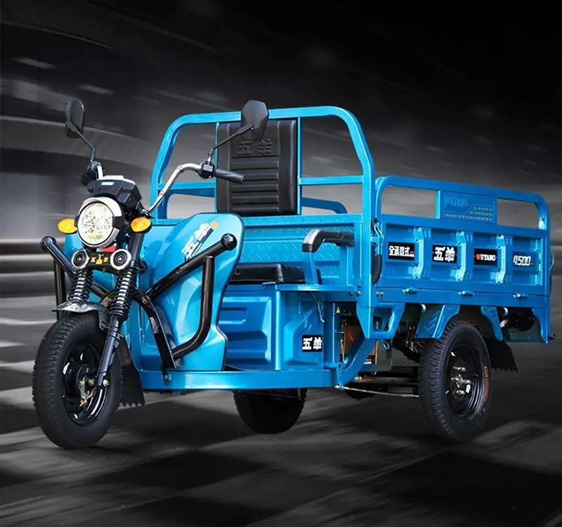 china high quality cargo electric tricycles wholesale