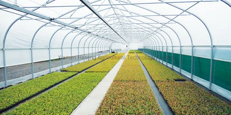 china hoop greenhouse wholesalers China Factory