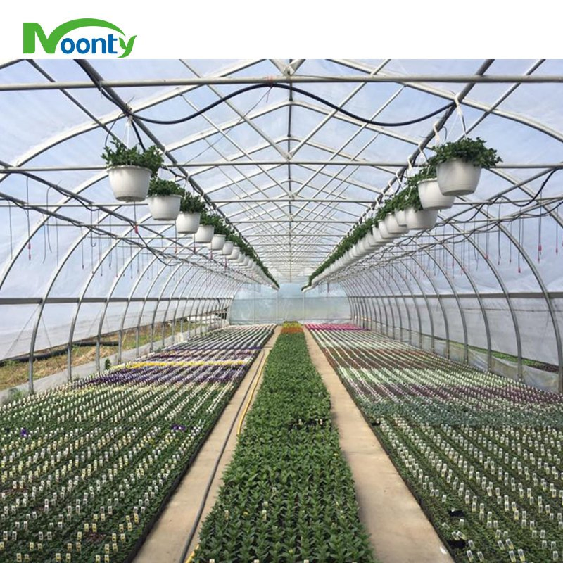 china hoop greenhouse wholesalers